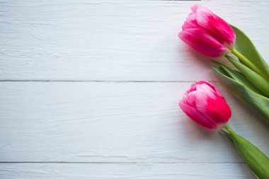 Ahşap arka planda pembe laleler. Düz konum, üst görünüm, kopyalama alanı. Paskalya ya da Anneler Günü tebrik kartı