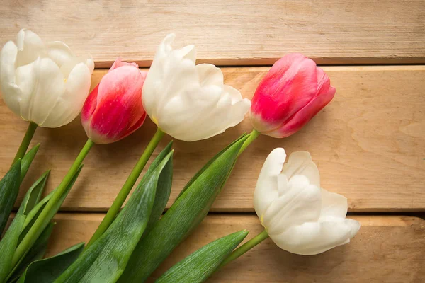 Białe Różowe Tulipany Drewnianym Tle Płaskie Ułożenie Widok Góry — Zdjęcie stockowe