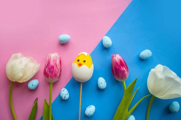 Toy chicken, quail eggs and tulips on bright background. Easter concept