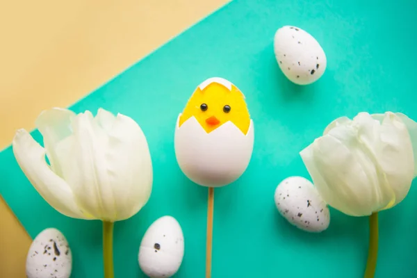 Toy chicken, quail eggs and white tulips on bright background. Easter concept