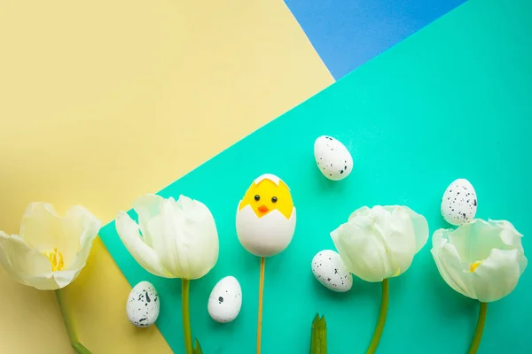 Toy chicken, quail eggs and white tulips on bright background. Easter concept