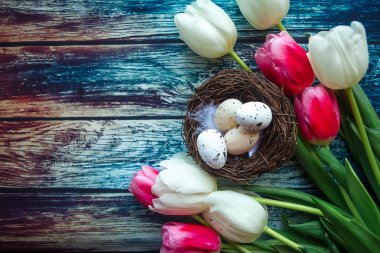 Kırmızı ve beyaz lale buketi ve ahşap arka planda yumurtaları olan yuva, üst manzara. Metin için alanı kopyala. Paskalya konsepti
