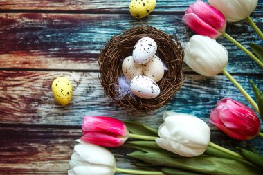 Paskalya kompozisyonu - laleler ve bıldırcın yumurtaları ahşap arka planda, üst manzara