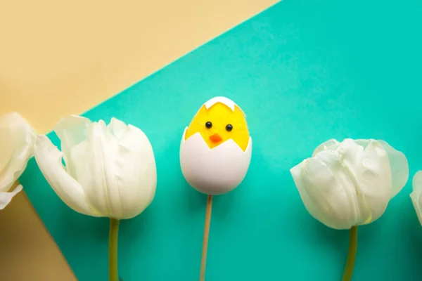 Toy chicken and white tulips on bright background. Easter concept