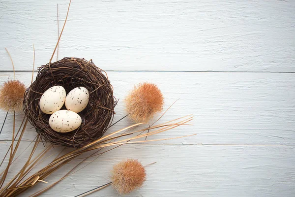 Quail Eggs Nest Top View Wooden Background Easter Concept — Stock Photo, Image