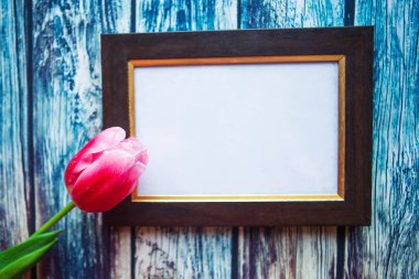 Ahşap arka planda pembe lale ve beyaz model fotoğraf çerçevesi, metin için alanı kopyala. Anneler Günü ya da Paskalya tebrik kartı.