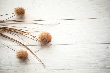 Ahşap arka planda kuru çiçekler. Metin için alanı kopyala