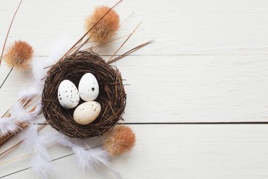 Yuvada bıldırcın yumurtaları, üst manzara. Paskalya konsepti
