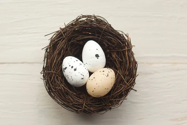 Quail Eggs Nest Top View Easter Concept — Stock Photo, Image