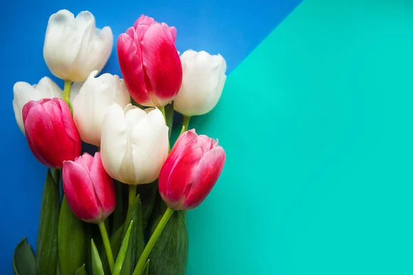 Bouquet of white and pink tulips on color background, copy space for the text