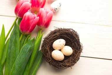 Yuvada bıldırcın yumurtaları ve laleler, üst manzara. Paskalya konsepti