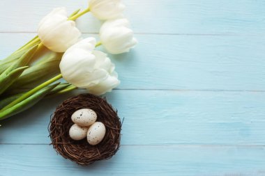Yuvada bıldırcın yumurtaları ve laleler, üst manzara. Paskalya konsepti
