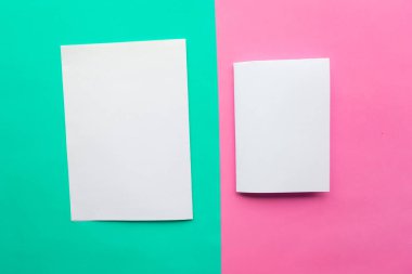 Pembe ve yeşil renkli arka planda iki beyaz model boş. Metin için alanı kopyala. Asgari konsept