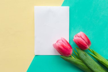 Sarı ve yeşil arka planda pembe laleler ve beyaz model boş. Paskalya ya da Anneler Günü tebrik kartı. Metin için alanı kopyala