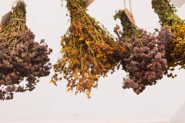 Beyaz arka planda tıbbi kuru otlar