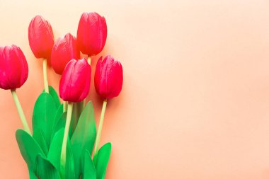 Pastel pembe arka planda bir buket kırmızı lale. Metin için alanı kopyala. Anneler Günü ya da Kadınlar Günü tebrik kartı.