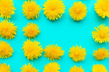 Yeşil arka planda parlak sarı karahindiba deseni. Yaz konsepti. Metin için alanı kopyala