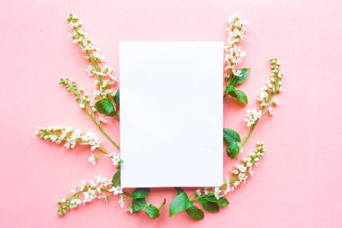 Pembe arka planda beyaz, boş ve güzel çiçek açan bahar dalları. İlkbahar konsepti