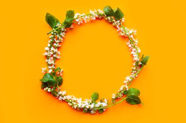 Parlak turuncu arka planda güzel açan bahar dallarının yuvarlak çerçevesi. İlkbahar konsepti