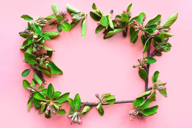 Pastel pembe arka planda çiçek açan güzel bahar dalları çerçevesi. İlkbahar konsepti. Metin için alanı kopyala