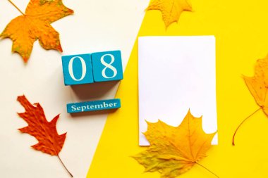 8 Eylül, boş sarı ve beyaz geometrik arkaplan. Ahşap el yapımı takvim