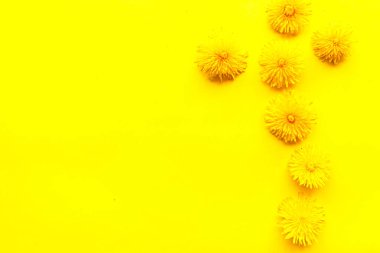 Sarı arka planda parlak sarı karahindiba deseni. Yaz konsepti. Metin için alanı kopyala