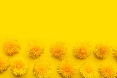 Sarı arka planda parlak sarı karahindiba deseni. Yaz konsepti. Metin için alanı kopyala