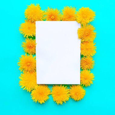 Parlak yeşil arka planda beyaz, boş ve sarı çiçek açan karahindibalar. İlkbahar konsepti. Metin için alanı kopyala