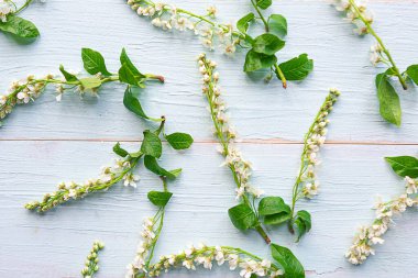 İlkbahar konsepti. Tahta arka planda çiçek açan çiçek deseni. 