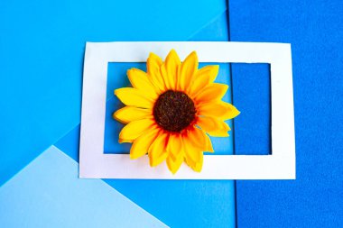 Geometrik renkli pastel arka planda fotoğraf çerçevesinde ayçiçeği. Yaratıcı asgari kavram