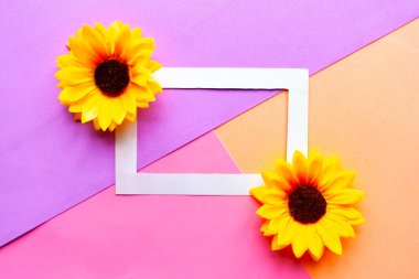 Geometrik renkli pastel arka planda ayçiçekleri ve fotoğraf çerçevesi. Yaratıcı asgari kavram