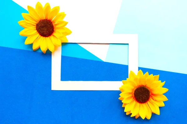 Girasoles Marco Fotos Sobre Fondo Azul Geométrico Concepto Mínimo Creativo — Foto de Stock