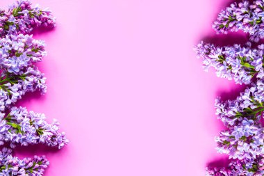 Mor arka planda çiçek açan leylak çerçeve. Metin için alanı kopyala. Pankart