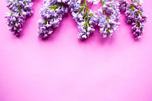 Квітуча Бузкова Рамка Фіолетовому Фоні Копіювати Простір Тексту Банер — стокове фото