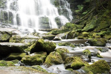 Tasmania'deki / daki Nelson şelale