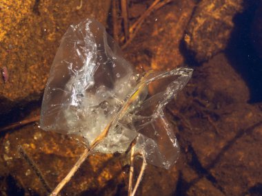 Sualtı kirliliği: - nehirde atılmış plastik torba