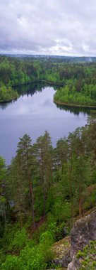 Orman gölü kıyı manzara . Yaz orman göl kıyı panoraması. Orman gölü kıyı görünümü