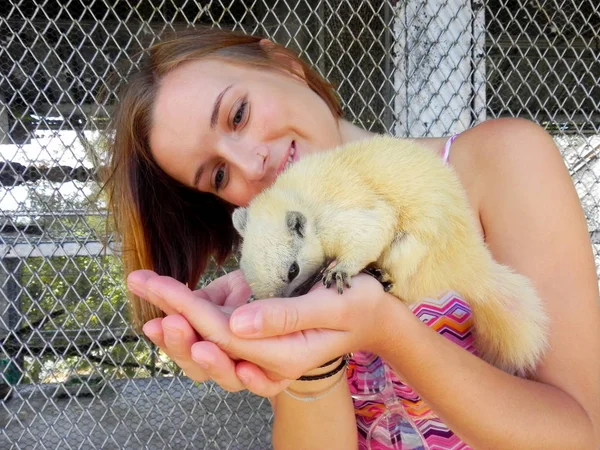 Young woman holds a white squirrel in her arms. hand feeds a white squirrel — 스톡 사진