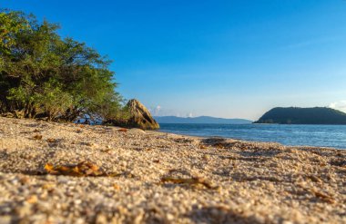 Terkedilmiş kumsal, açık mavi deniz ve yeşil ağaçlar.