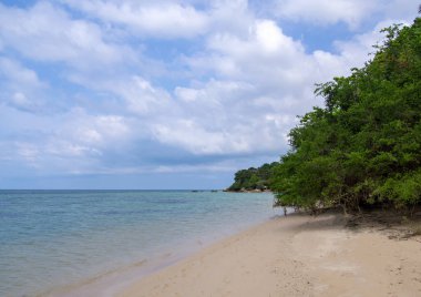 Terkedilmiş kumsal, açık mavi deniz ve yeşil ağaçlar..