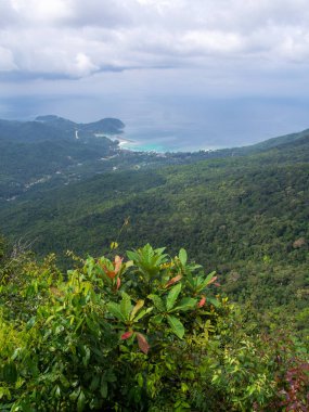 Tayland 'da güzel bir körfez. Dağdan Kho Phangan 'a manzara.