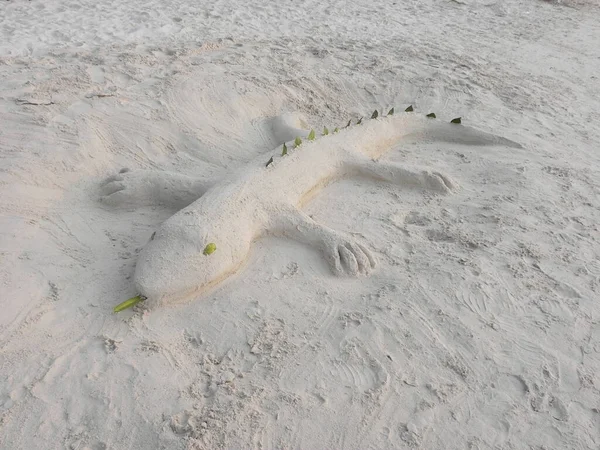 Gecko Feito Areia Praia Figura Areia — Fotografia de Stock