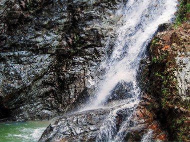 Hareketli Bulanık Şelaleler Mavi Tepe Dağları 'ndaki huzurlu doğa manzarası yemyeşil ağaçlar, kayalar ve akan suyla