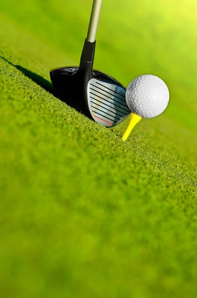Let's golf — Stock Fotó