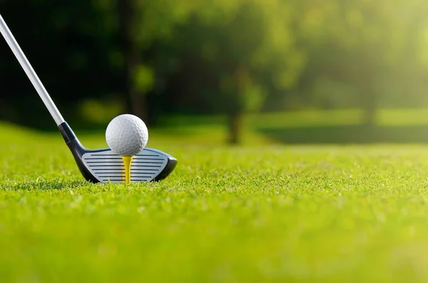 Låt oss golf — Stockfoto