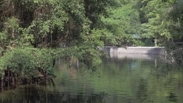 Kirándulás a Halong-öböl, sziget hajókirándulásokat. Hanoi, Vietnam — Stock videók