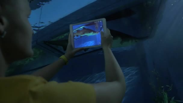 Mujer con almohadilla tomando fotos de animales de mar en el oceanario — Vídeos de Stock