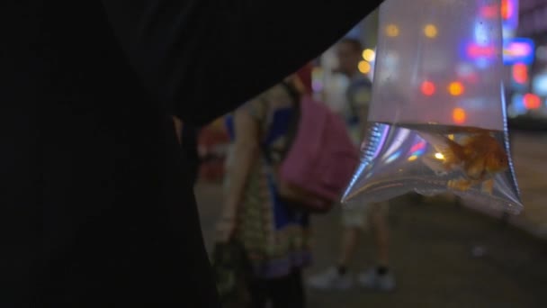Медленное движение женской руки держит пластиковую упаковку с золотой рыбой и идет в торговый центр. Гонконг, Китай — стоковое видео