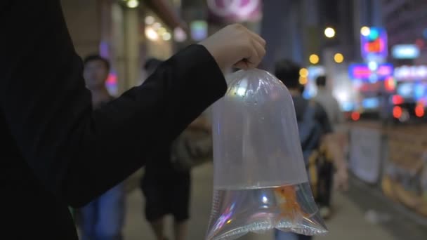Movimento lento em Hong Kong, China em uma garota de rua movimentada segurando um saco transparente com água e peixinho dourado — Vídeo de Stock