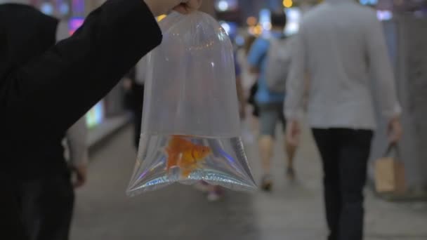 Woman with fish in plastic bag on city street — Stock Video